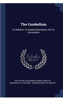 Cerebellum