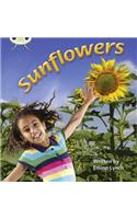 Bug Club Phonics Non Fiction Year 1 Phase 5 Set 20 Sunflowers