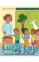 Adventures of Lucy Lou