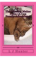 Missing Maine Coon (A Cox Family Adventure)