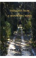 Thoughts From A Wandering Mind: (English)
