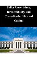 Policy Uncertainty, Irreversibility, and Cross-Border Flows of Capital