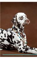 Dalmatian Affirmations Workbook Dalmatian Presents