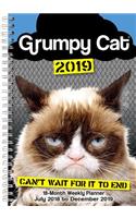 2019 Grumpy Cat 18-Month Weekly Planner: By Sellers Publishing