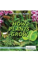 How Plants Grow