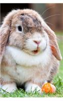 A Darling Fluffy Lop-Eared Bunny Rabbit Journal