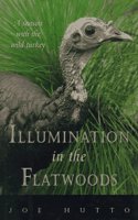 Illumination in the Flatwoods