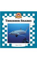 Thresher Sharks