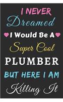 I Never Dreamed I Would Be A Super Cool Plumber But Here I Am Killing It