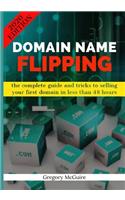 Domain name flipping