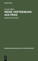 Meine Vertreibung aus Prag: (11 Biographische Quellen Zur Zeitgeschichte)