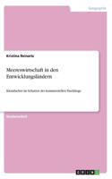 Meereswirtschaft in den Entwicklungsländern: Kleinfischer im Schatten des kommerziellen Fischfangs