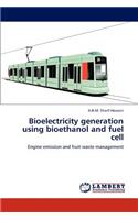 Bioelectricity generation using bioethanol and fuel cell