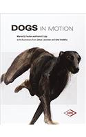 Dogs in Motion