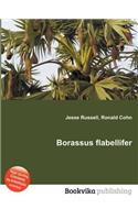 Borassus Flabellifer: (English)