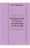Fundamentals of Clinical Morphology of the Tooth
