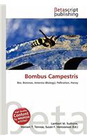 Bombus Campestris