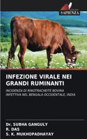 Infezione Virale Nei Grandi Ruminanti