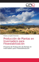 Producción de Plantas en Invernadero para Fitoestabilización