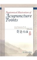 Anatomical Illustration of Acupuncture Points