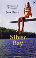 Silver Bay