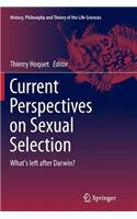 Current Perspectives on Sexual Selection