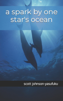 A spark by one star's ocean