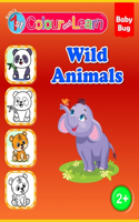 Colour and Learn: Wild Animals