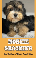 Morkie Grooming