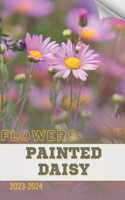 Painted Daisy