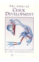 The Atlas of Chick Development