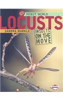 Locusts