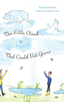 The Little Cloud That Could Not Grow