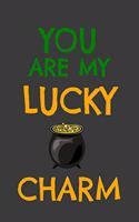 You Are My Lucky Charm: St. Patrick's Day Journal, Lucky Shamrock Humor Notebook. Creative Journaling,