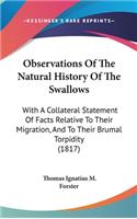 Observations Of The Natural History Of The Swallows