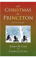 Christmas in Princeton