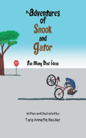 Adventures of Snook and Gator