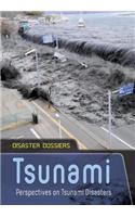 Tsunami Perspectives on Tsunami Disasters (Disaster Dossiers)