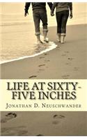 Life at Sixty-Five Inches: My Thoughts and Stories