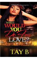 What Would You Do For Love?