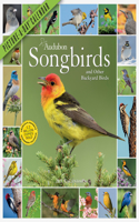 2021 Audubon Songbirds and Other Backyard Birds Picture-A-Day Wall Calendar