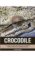 Crocodile
