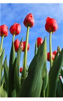Tulips Sky: Blank 200 page journal