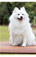 Sweet Happy Fluffy White Spitz Puppy Dog Pet Journal