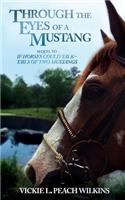 Through the Eyes of a Mustang