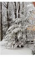 Journal Scenic Winter Weather Trees