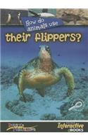 How Do Animals Use Their Flippers?