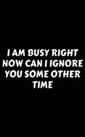 I Am Busy Right Now Can I Ignore You Some Other Time