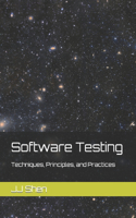 Software Testing