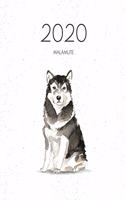 2020 Malamute: Dated Weekly Planner With To Do Notes & Dog Quotes - Malamute